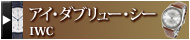 ���������֥�塼��������IWC�ˡå֥��ɻԾ�