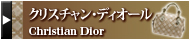 ���ꥹ����󡦥ǥ��������Christian Dior�ˡå֥��ɻԾ�