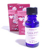 GAIA�ʥ�������
