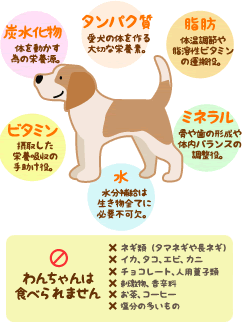 ����ѥ������������Τ������ڤʱ����ǡ����á��β�Ĵ���������ӥ��ߥ�α�����ú�岽ʪ���Τ�ư�����٤α��ܸ����ӥ��ߥ��ݼ褷�����ܵۼ��μ�����򡣥ߥͥ�롧������η���������Х�󥹤�Ĵ���򡣿塧��ʬ��������ʪ���Ƥ�ɬ���Բķ硣�Τ������Ͽ��٤��ޤ��󡧥ͥ���ʥ��ޥͥ���Ĺ�ͥ��ˡ����������������ӡ����ˡ����祳�졼�ȡ����Ѳۻ��ࡢ�ɷ�ʪ������������㡢�����ҡ�����ʬ��¿����Ρ�